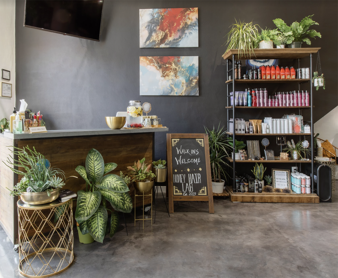 plants in dark salon
