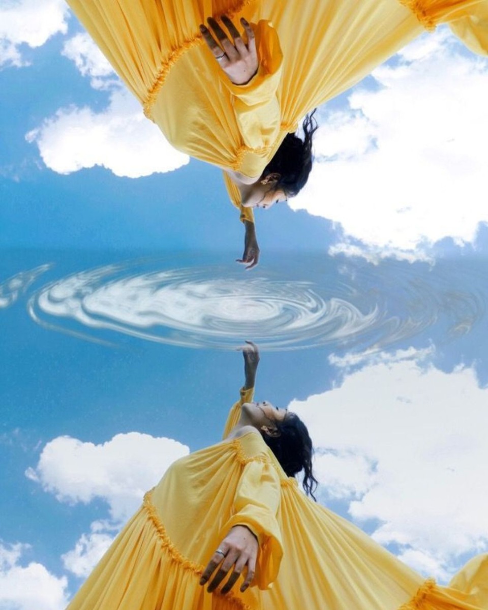 10_sunflower