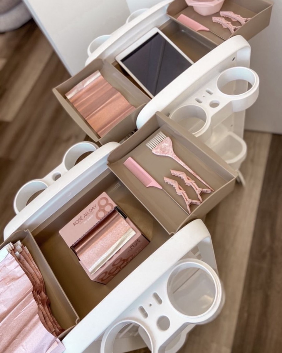 Elogy Mobile Stylist Color Cart