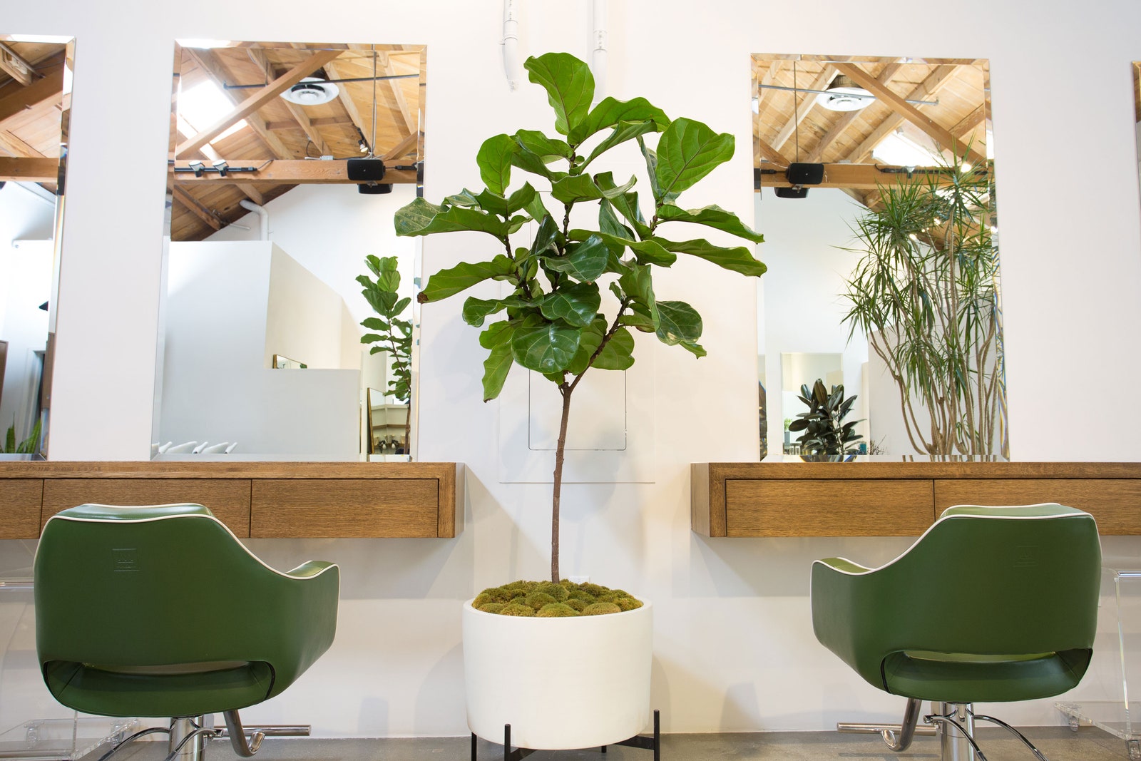 loft647_2